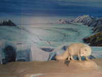 Bodensee-Naturmuseum 
